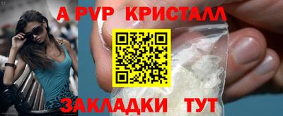 хмурый Кингисепп