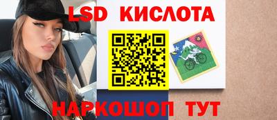 хмурый Кингисепп