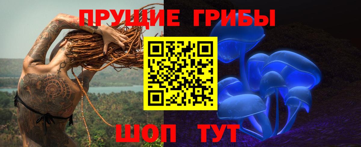 Псилоцибиновые грибы GOLDEN TEACHER  Вход с VPN  Реутов 